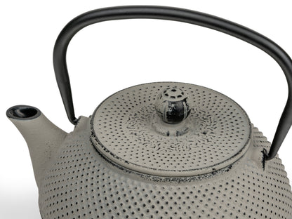 Cast Iron Teapot Grey 800ml