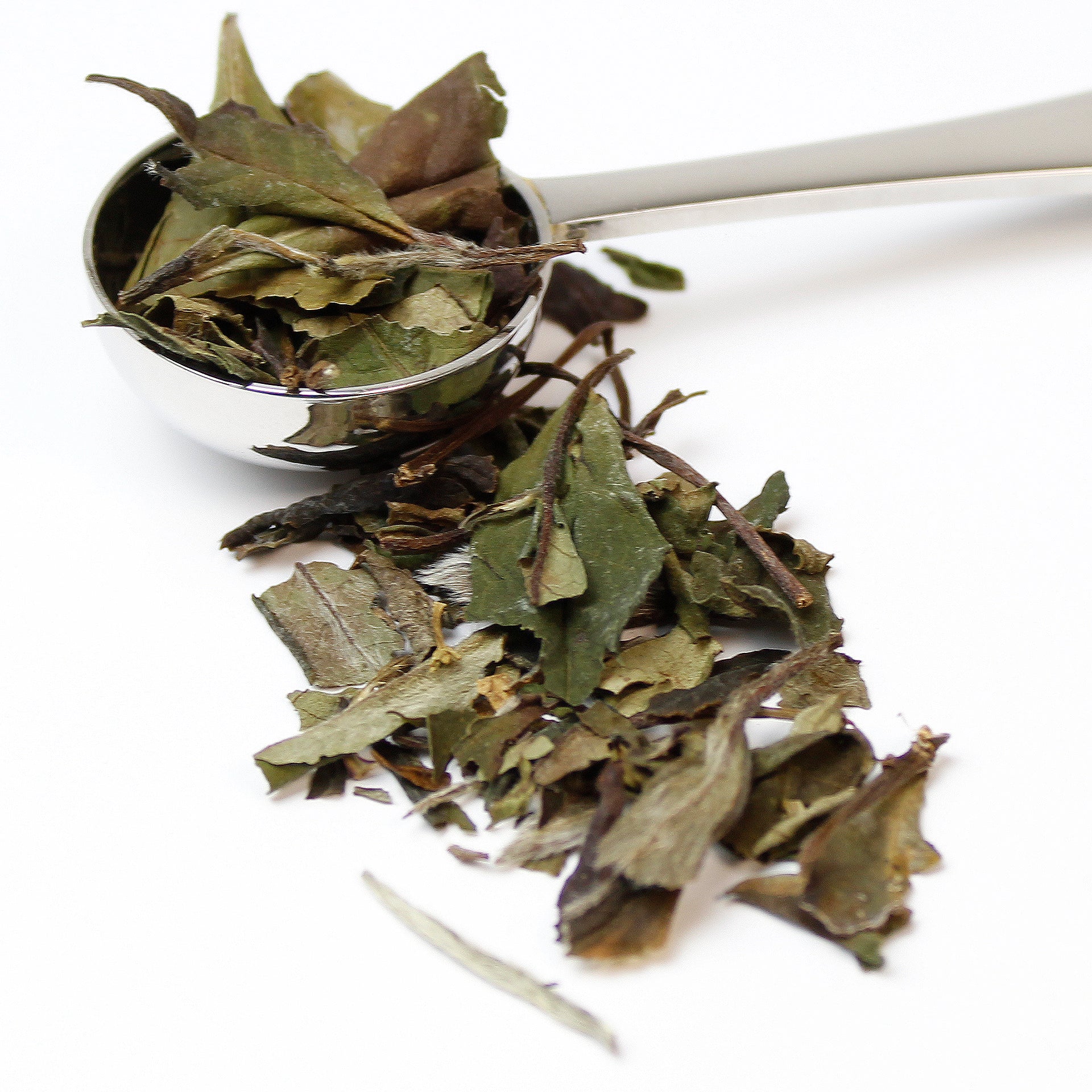 Silver teaspoon full of organic white tea leaves spilling over onto a white surface.