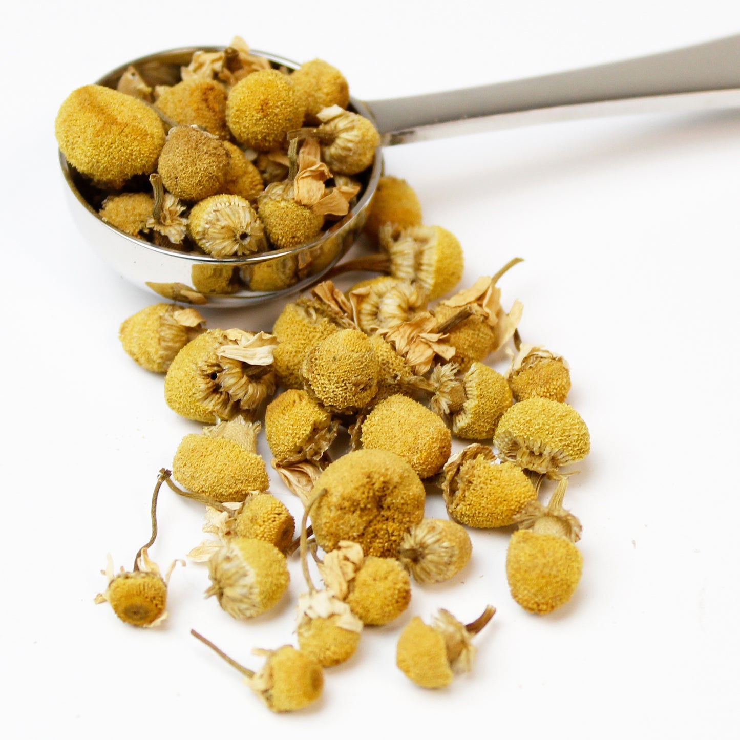 A stainless steel teaspoon filled with dried chamomile blossoms on a white background.