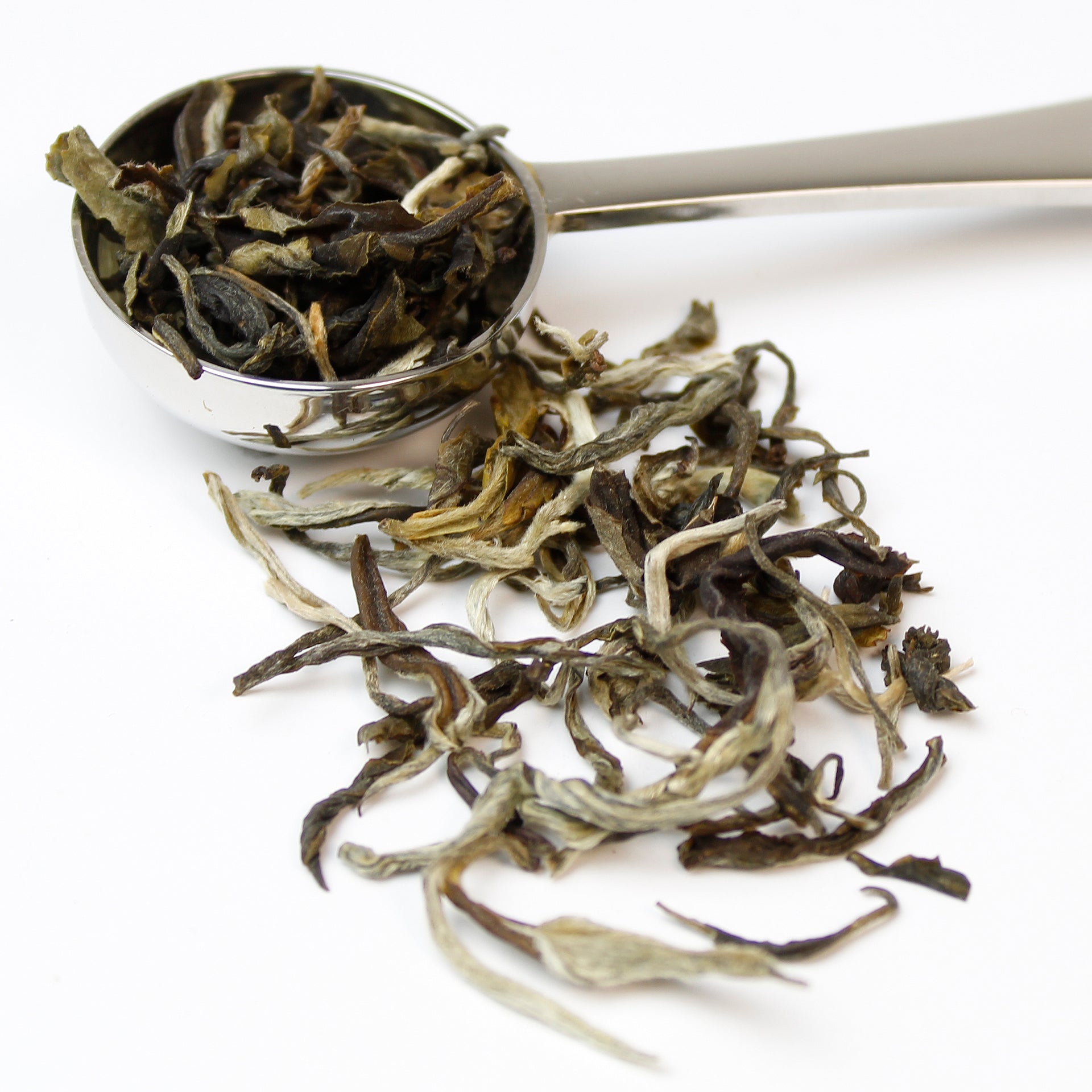 White Monkey loose leaf green tea spilling out of a stainless steel teaspoon on a white background.